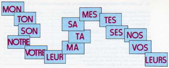 grammaire adjectifs possessifs grammaire adjectifs possessifs